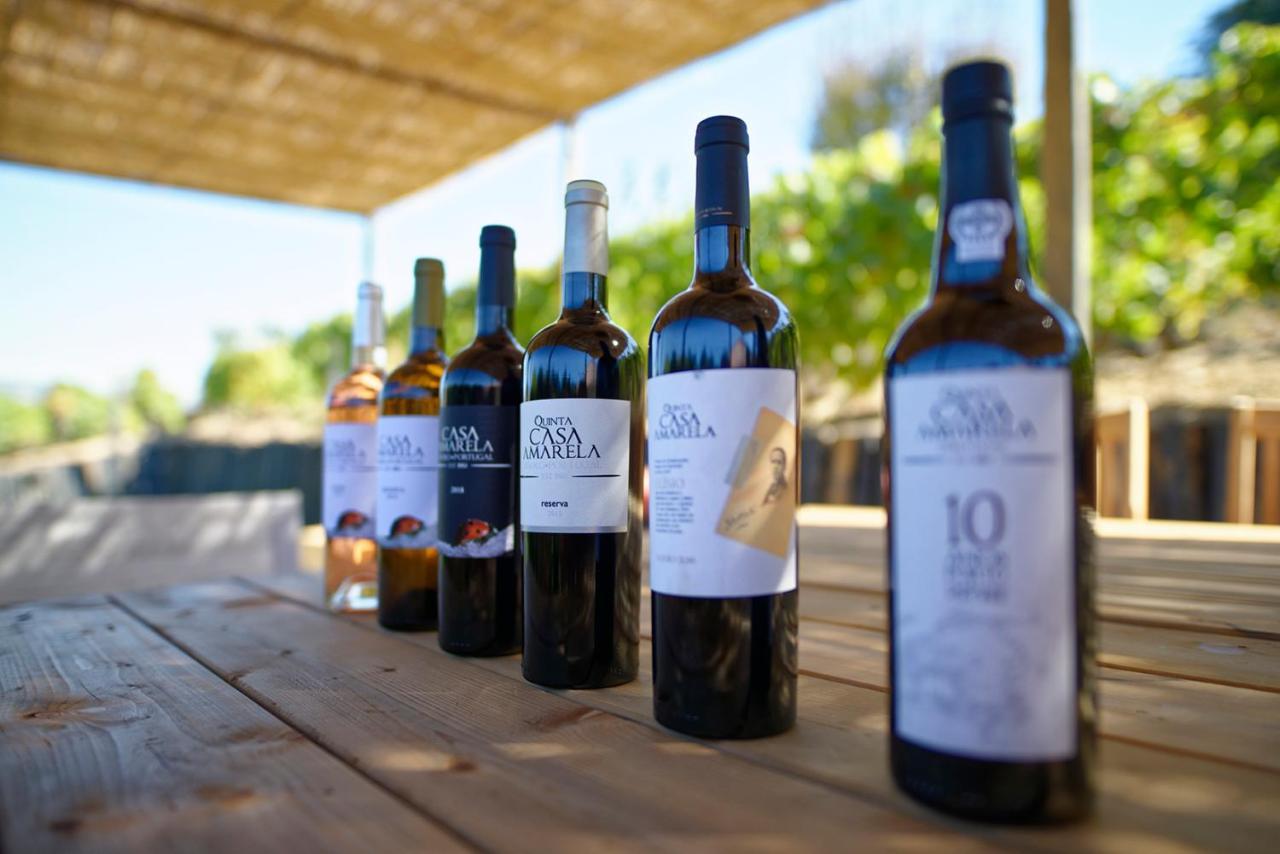 Quinta Da Casa Amarela- Casas Da Quinta - Turismo Em Espaco Rural Lamego Esterno foto