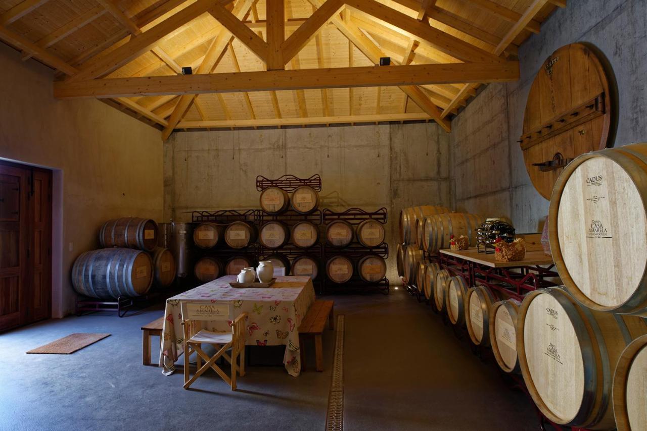 Quinta Da Casa Amarela- Casas Da Quinta - Turismo Em Espaco Rural Lamego Esterno foto
